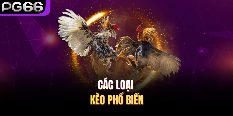 Các loại kèo phổ biến