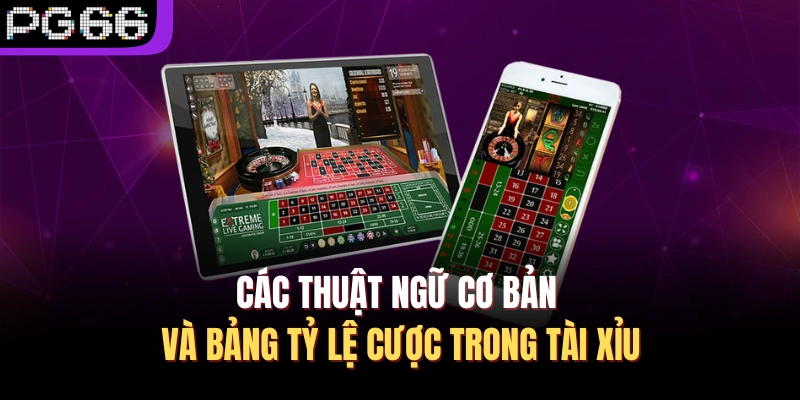 Các thuật ngữ cơ bản và bảng tỷ lệ cược trong tài xỉu