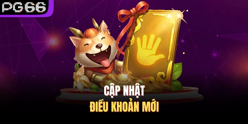 Cập nhật điều khoản mới