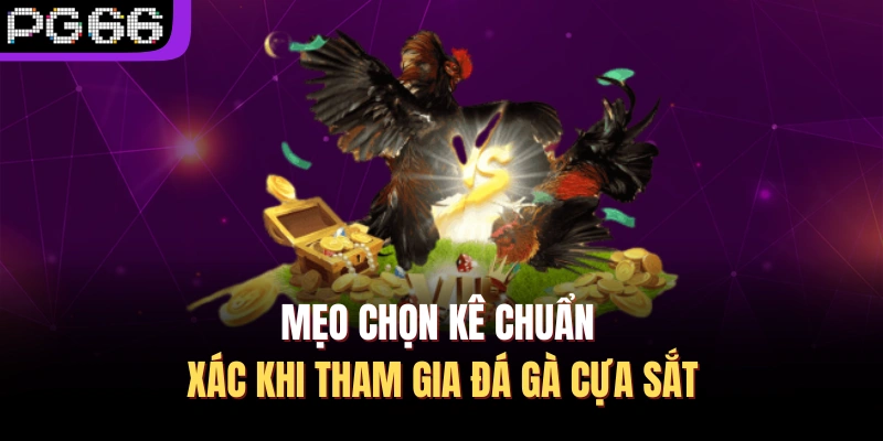 Mẹo chọn kê chuẩn xác khi tham gia đá gà cựa sắt